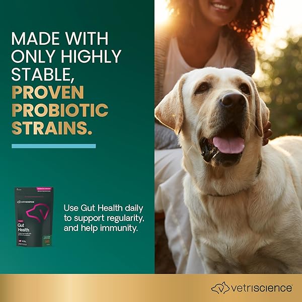 VETRISCIENCE GUT HEALTH CHEWS, PROBIOTIC EVERYDAY DIGESTIVE SUPPLEMENT FOR DOGS, PET PROBIOTICS FOR DIGESTION SUPPORT, GAS AND DIARRHEA, IMMUNE SUPPORT, 1 BILLION CFU PER CHEW, DUCK, 120 COUNT