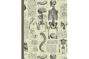 Composition Notebook College Ruled, Vintage Human Anatomy Medical Illustration. Skeleton Skull Bones Aesthetic