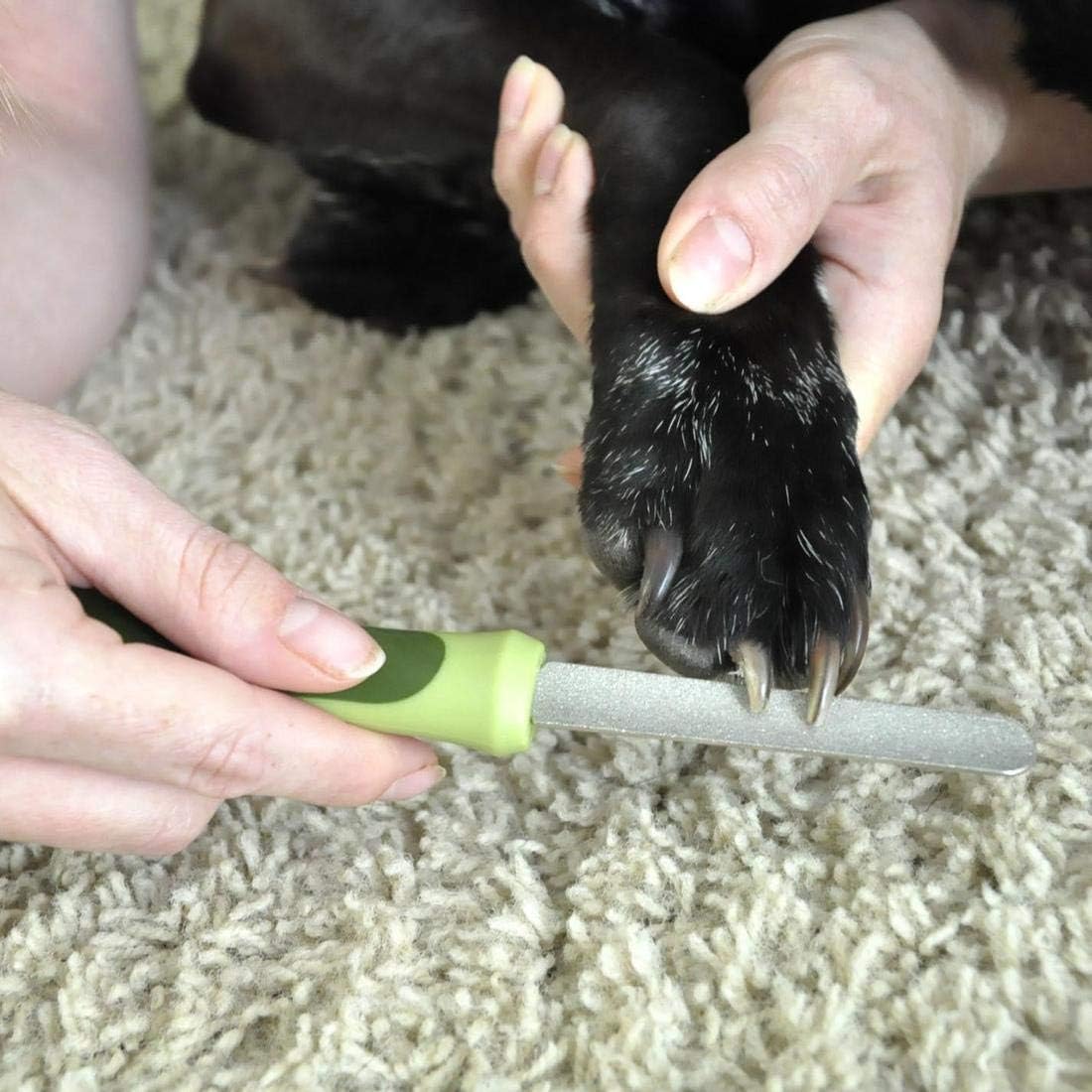 Pet Nail Clippers : Coastal Pet Products DCPW6112 Stainless Steel Safari Diamond Dog Nail File