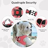 Joytale XXS Step in Dog Harness Pink Reflective Mesh Easy Walk view 6