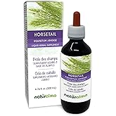 Naturalma Horsetail (Equisetum arvense) herb Alcohol-Free Tincture - 6.76 fl oz Liquid Extract in Drops - Herbal Supplement - Vegan