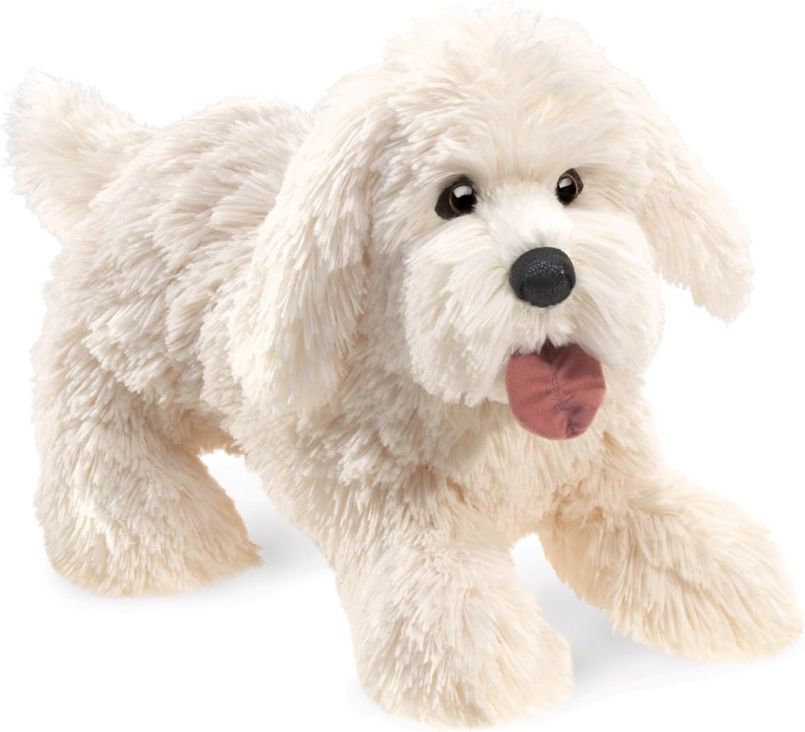 private breeder puppies near me