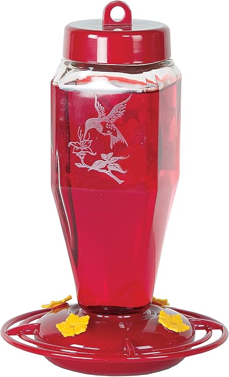 Amazon Com Homestead 24 Oz Hummingbird Feeder Etched Hardened