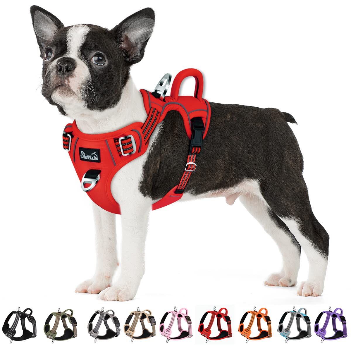 Eyein Medium Dog Harness, Anti-Pull Adjustable Heavy Duty Pet Vest with 2 Clips, Escape-Proof Puppy Harness with Soft Padded Handle, Reflective for Outdoor Training & Walking