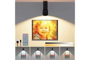 KOOPALA LED Ceiling Picture Lights with 6000mAH Rechargeable Battery Powered, Cordless Painting Wall Lamps Sconces with 4 Brightness&Color Temp,CRI≥95, Indoor Spotlight for Art Display Photo Portraits Gallery