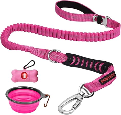 long bungee dog leash