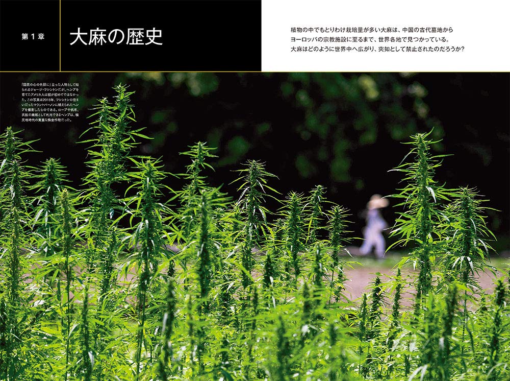 マリファナ 世界の大麻最新事情 ナショナル ジオグラフィック別冊 Amazon Com Books マリファナ 世界の大麻最新事情 ナショナル ジオグラフィック別冊 Amazon Com Books