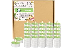 FCLAYVTS 100 Pack Scented Tealight Candles 4 Hours, Gardenia Aromatherapy Candles for Votive Home, Wedding Holiday and Emergency (Light Green)
