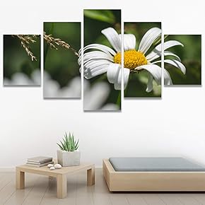 SIGNWIN 5 Panel Canvas Wall Art White Fields...