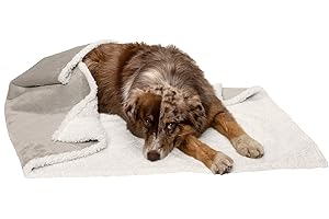 Furhaven Waterproof & Self-Warming Throw Blanket for Dogs & Indoor Cats, Washable & Reflects Body Heat - Soft-Edged Terry & Sherpa Dog Blanket - Dove, Large