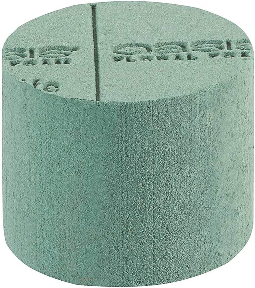 Oasis Floral Foam Cylinder 6 Cylinder Perfact for Art