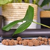 bhomescent LECA Clay Pebbles 1L for Hydroponics, Orchids, Pots view 2
