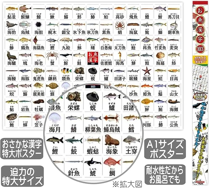 Amazon 魚 漢字 ポスター 特大サイズ お魚漢字 103種 お風呂ポスター 図鑑 ａ1 サイズ 841 584mm Ki 090 G ひらがな カタカナ 漢字 おもちゃ