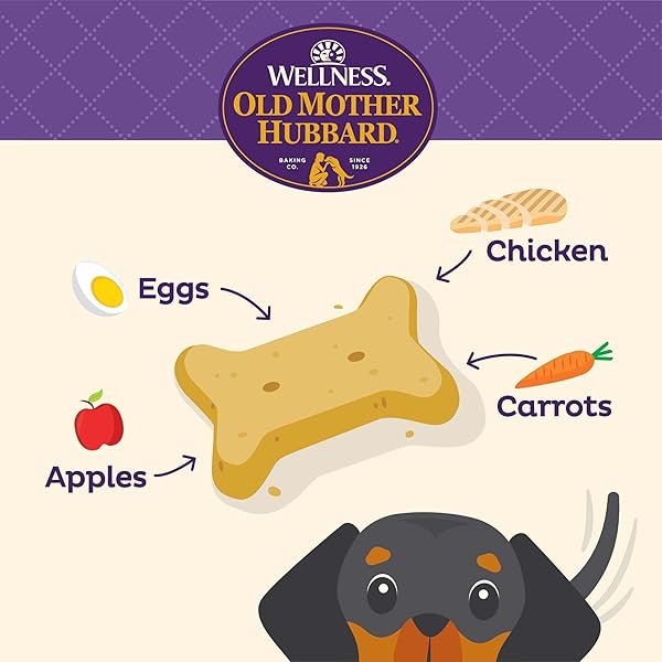 OLD MOTHER HUBBARD WELLNESS CHICK’N’APPLES DOG BISCUITS, NATURAL, TRAINING TREATS, CHICKEN & APPLES FLAVOR, MINI SIZE, (20 OUNCE BAG)