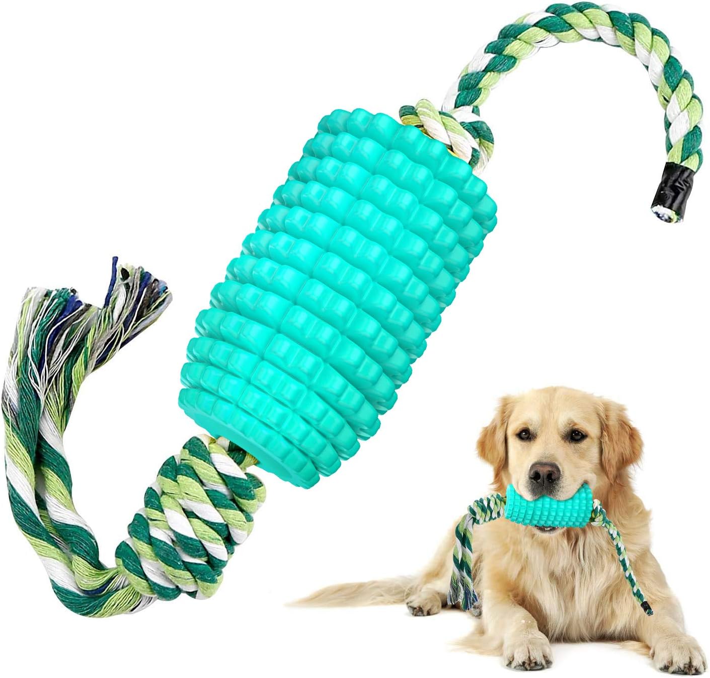 my dog ate a rope toy