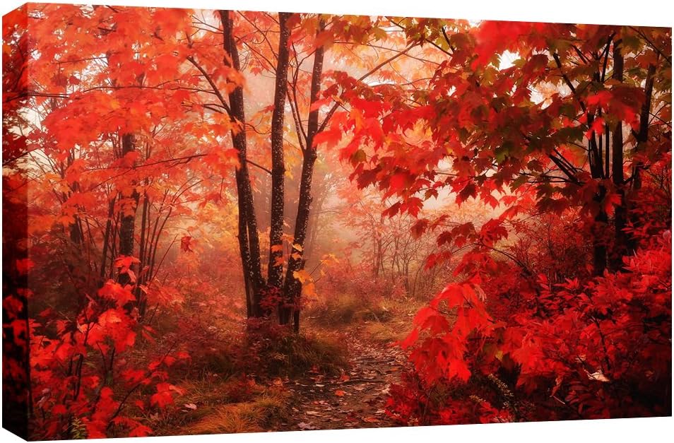 LARGE AUTUMN FOREST CANVAS PICTURE mounted and ready to hang 34 x 20 inches (86 x 52 cm) by Canvas Interiors