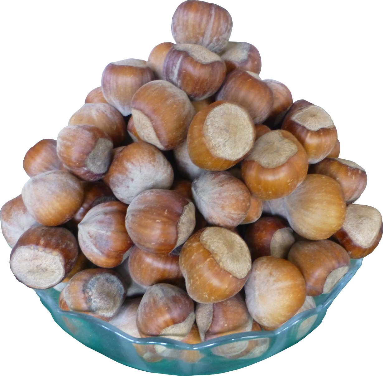 Fresh Hazelnuts in shell. 5kg from Poland. Amazon.co.uk Grocery