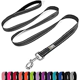 PenSeepet 6 FT Basic Dog Leash for Medium Dogs,Black | Padded Handle,Metal D-Ring,Heavy Duty Nylon Webbing, for Walking &amp; Training