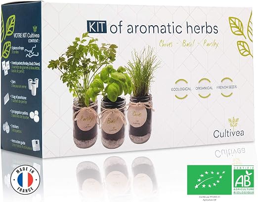 Comment Faire Pousser Des Herbes Aromatiques à L Intérieur Herbes Aromatiques 18 Facons Astucieuses De Les Faire Pousser En Interieur
