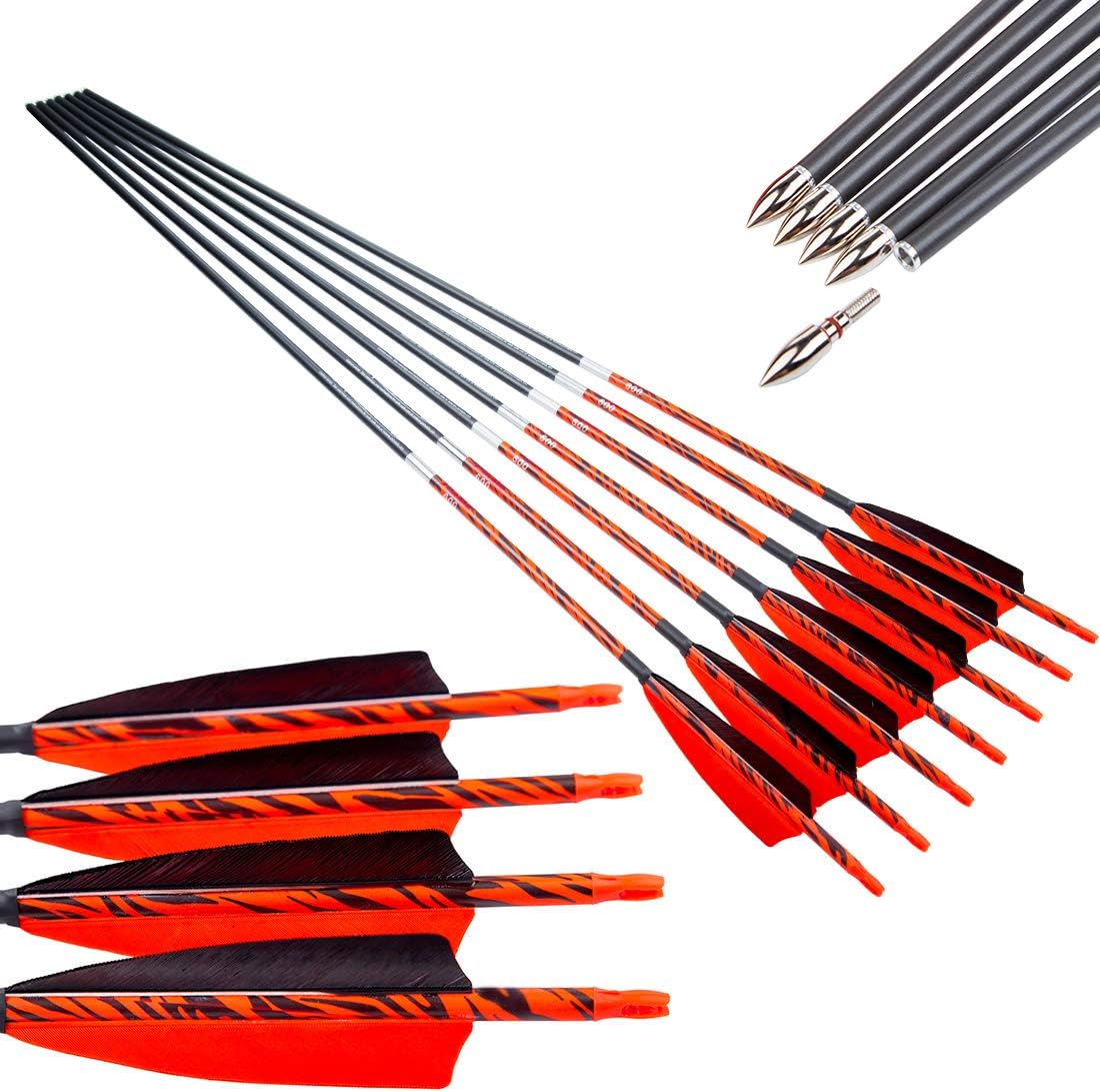 Pinals Archery Traditional Arrows 300 400 500 600 Spine Turkey Feather 32 Inch Carbon Shafts for Recurve Longbow Compound Bows Hunting Targets 12PCS : Sports & Outdoors