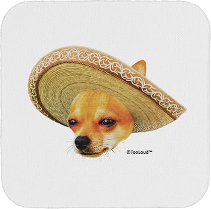 chihuahua in sombrero