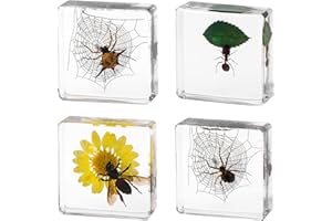 QNCMBUG 4Pcs Insect Taxidermy in Resin Specimen Set - Bugs in Clear Block for Oddities Collection, Home Decor & Unique Gift (1.5x1.5 inch)