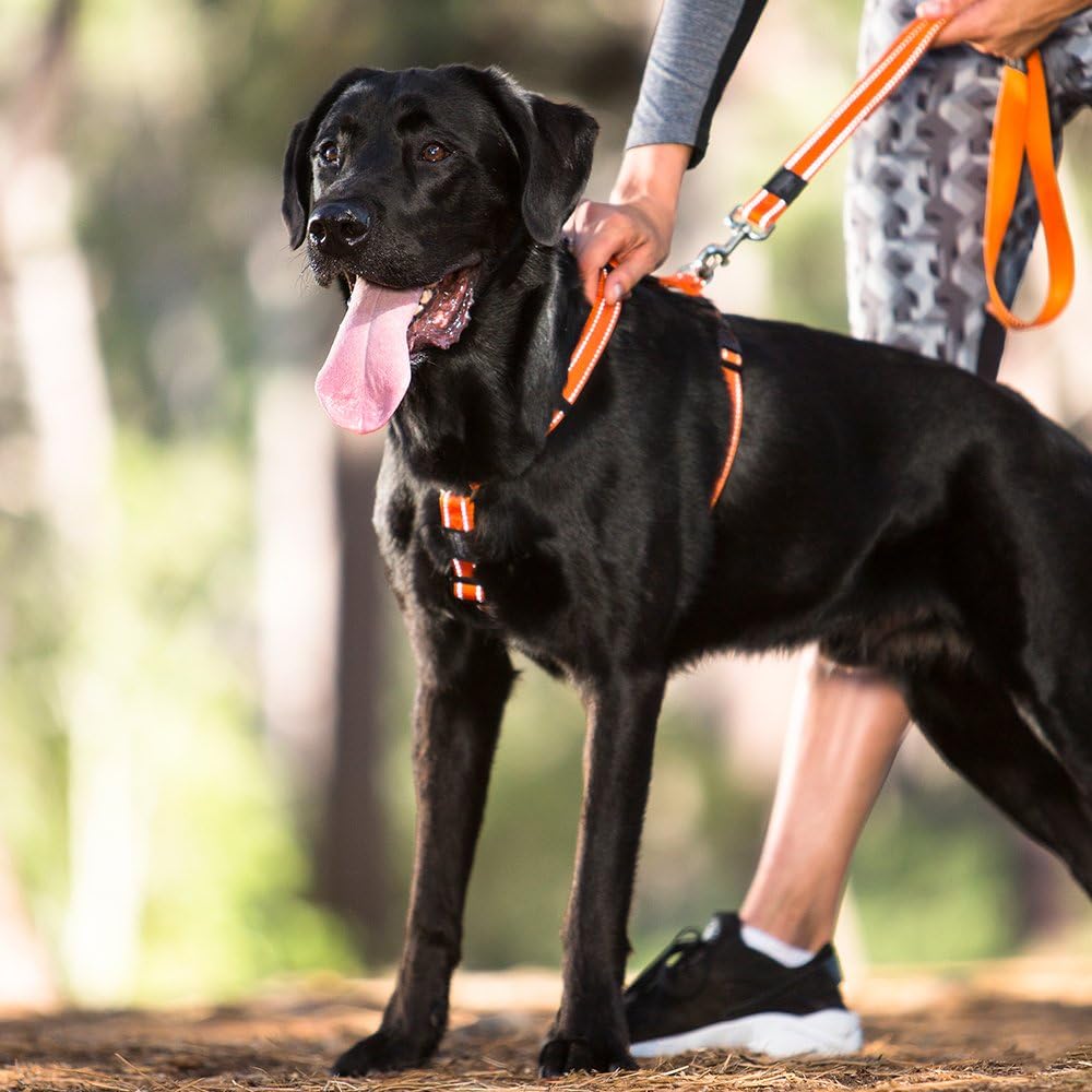 Rogz Lumberjack Harness Reflective, Black, 1" Extra Large - Image 3