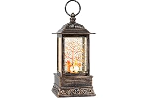 EYROSA Fall Snow Globe Decorations, Glitter Gnome Lantern with 6H Timer, USB/Battery Powered Lighted Décor for Home, Tabletop, Gift Box