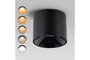 Ajbvp Modern LED Ceiling Spotlight 5CCT 4.72 inches 18W Dimmable Ceiling Light,2700K-5000K,for Living Room Spotlight Indoor(Black)