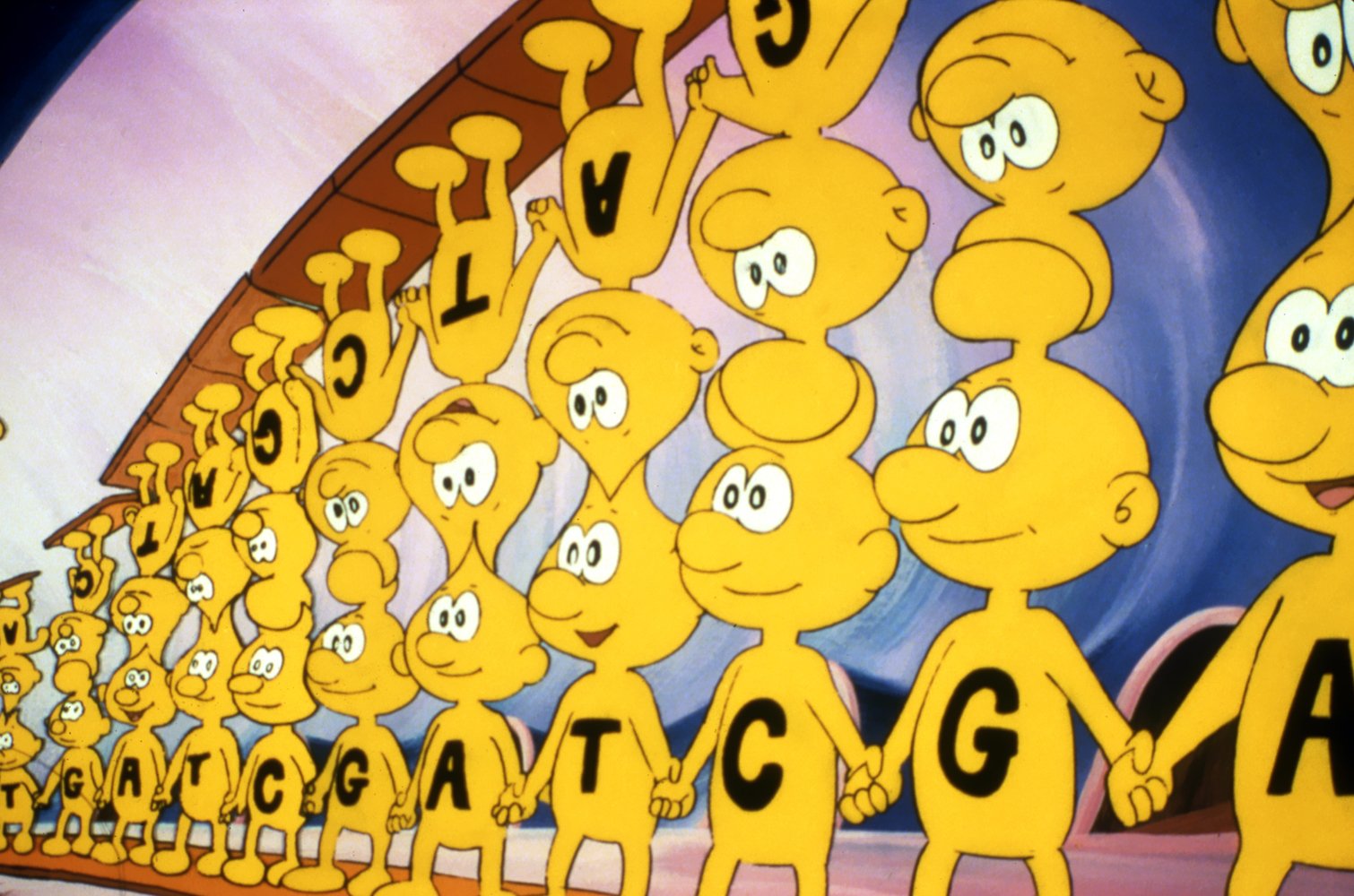 Es war einmal … Das Leben [6 DVDs] 5