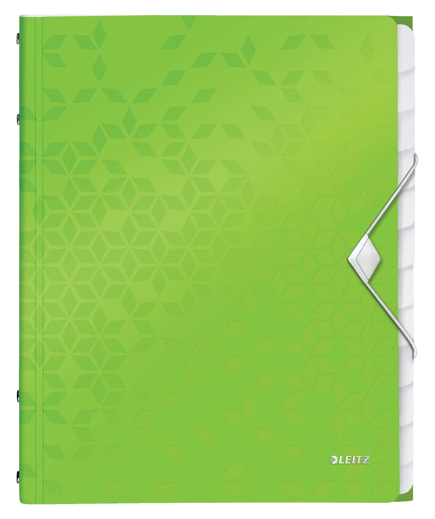 Leitz 46340054 A4 Divider Book, Holds Up to 200 Sheets, Integrated Index with 12 Compartments, Elastic Closure, WOW Range, Green