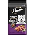 CESAR Small Breed Dry Dog Food, Filet Mignon Flavor and Spring Vegetables Garnish, 2.7 lb. Bag
