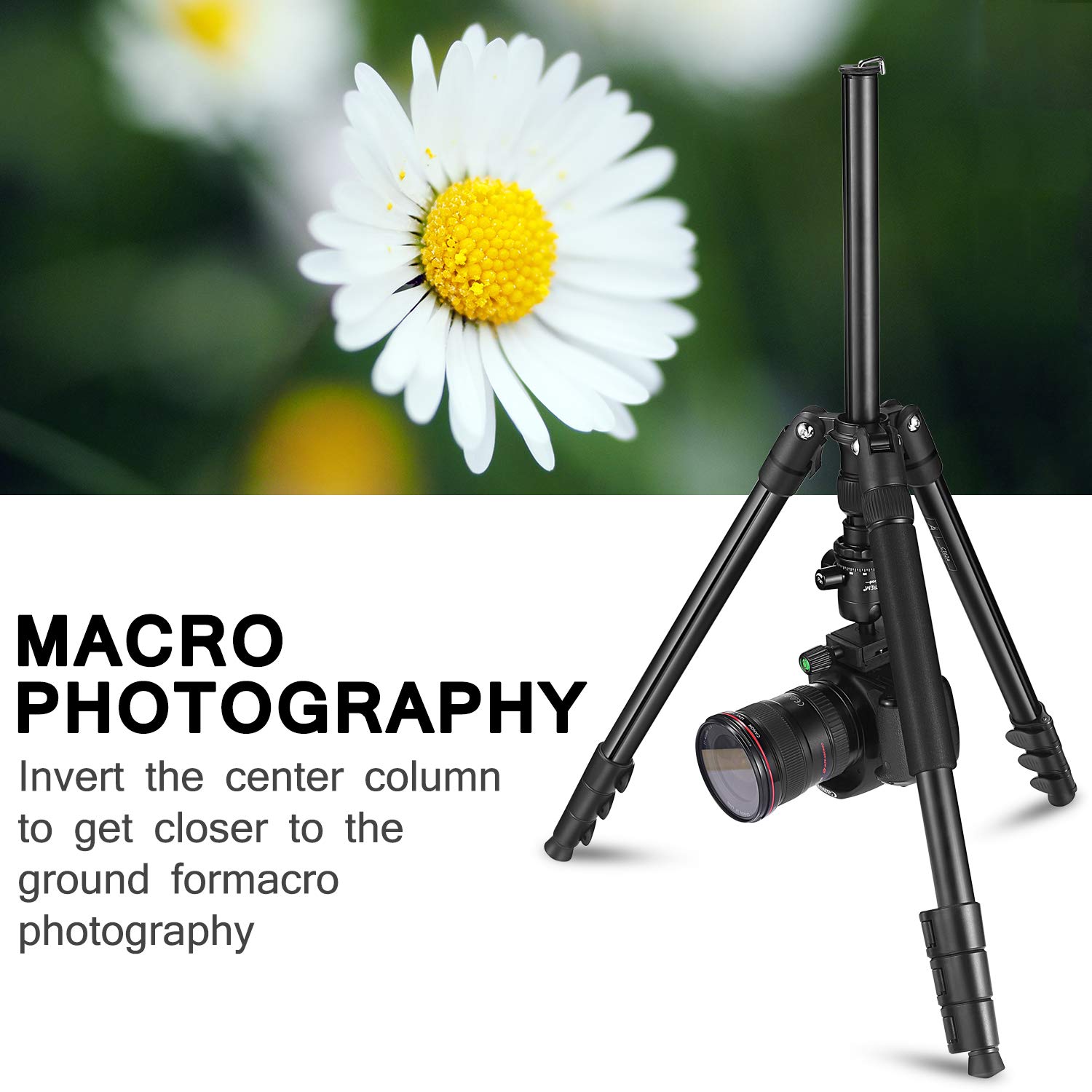 MACTREM Professional Camera Tripod with Phone Mount, 62" DSLR Tripod