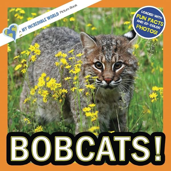 Bobcats!: A My Incredible World Picture Book for Children (My