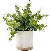 Coferset Small Fake Eucalyptus Potted Plants 9.5" Indoor Fake Plants Small Artificial Eucalyptus with Ceramic Pot-Realistic Greenery for Shelf Office Desk Home Bathroom Table Decor