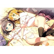 Amazon.com: Hentai Ouji To Warawanai Neko Poster by Silk Printing ...