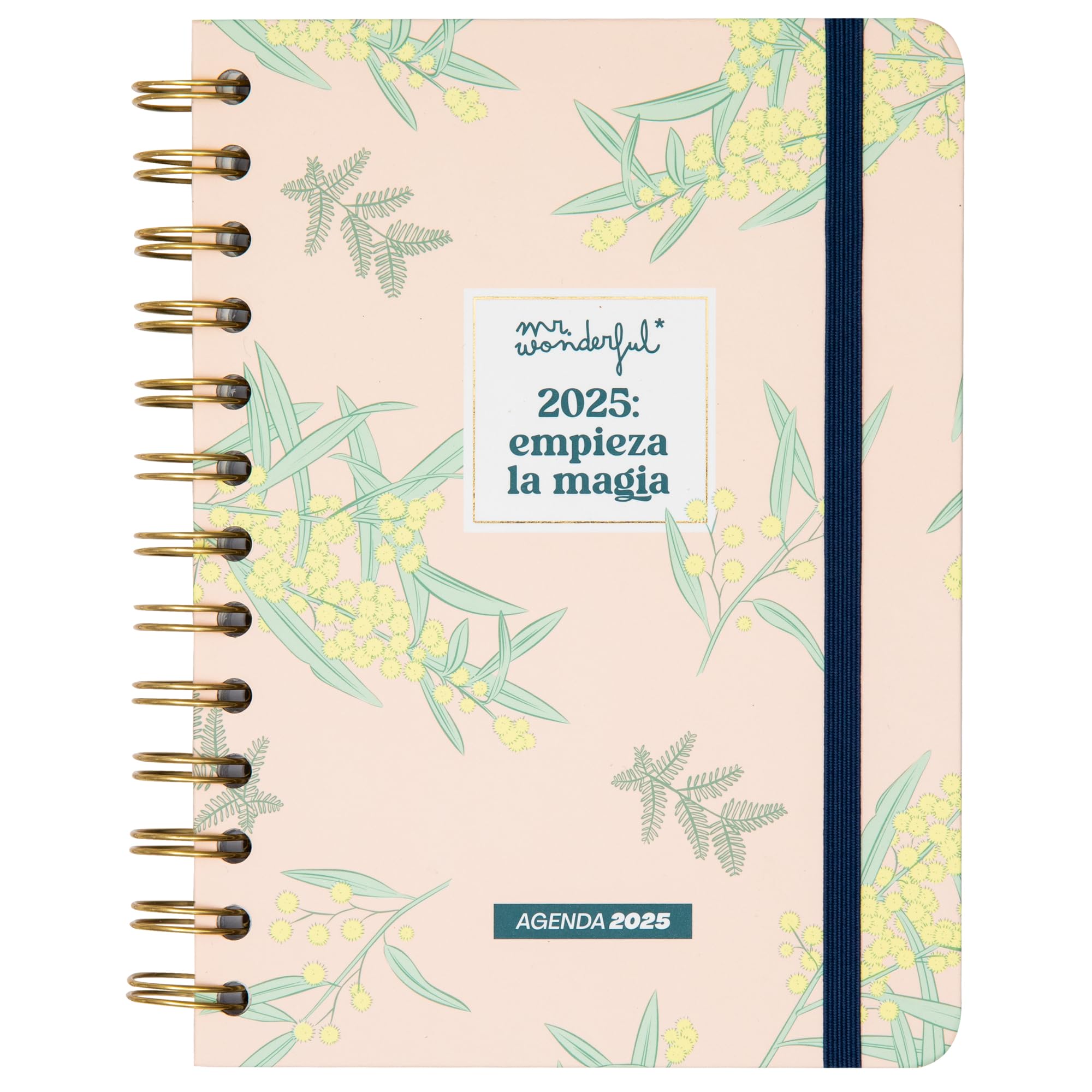 Mr. Wonderful - Small Office Agenda 2025 Weekly - Start the Magic - Includes 8 Sheets of Stickers and Motivational Daily Phrases