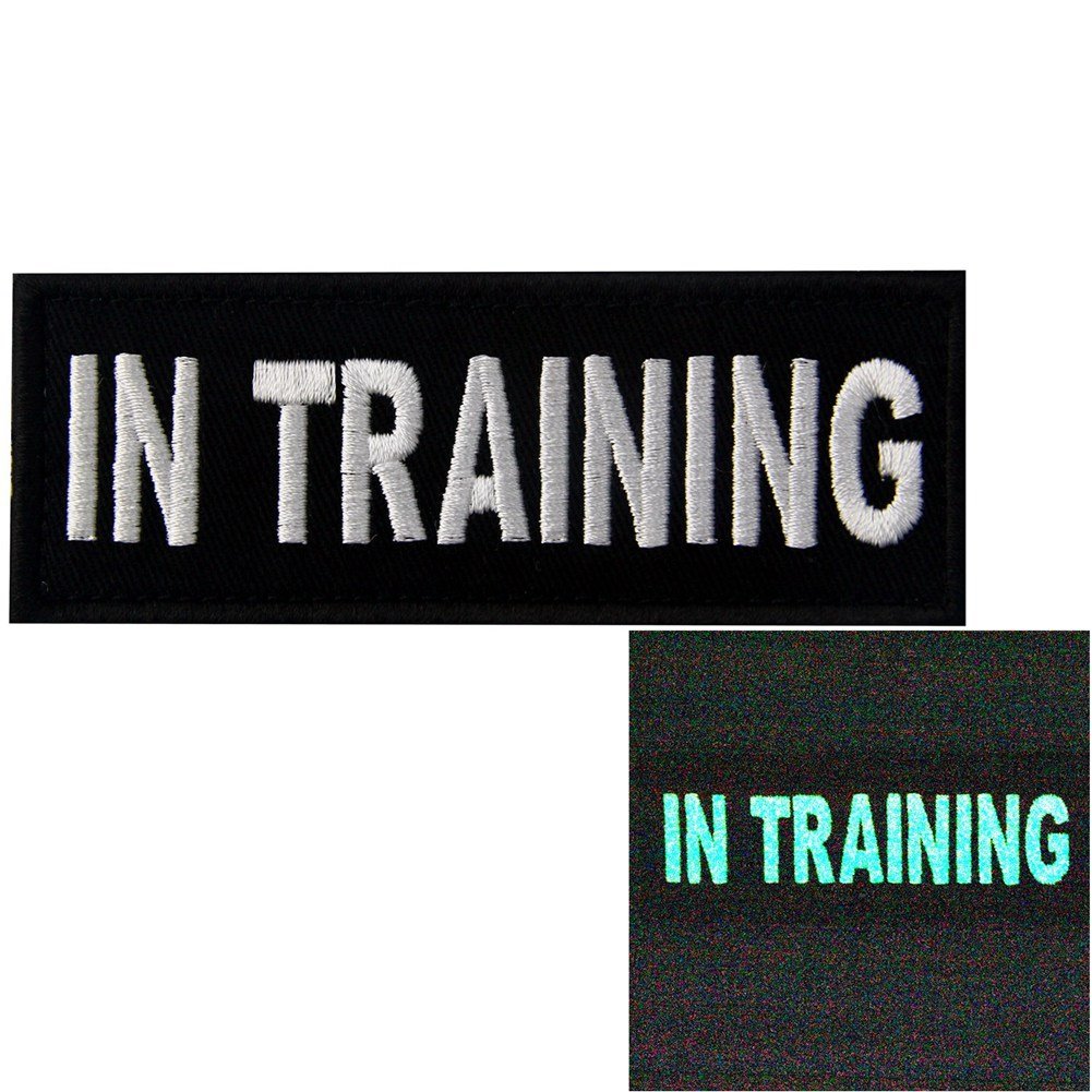 Glow in Dark in Training Service Animal Vests/Harnesses Emblem Embroidered Fastener Hook & Loop Patch, 4 X 1.5 Inch