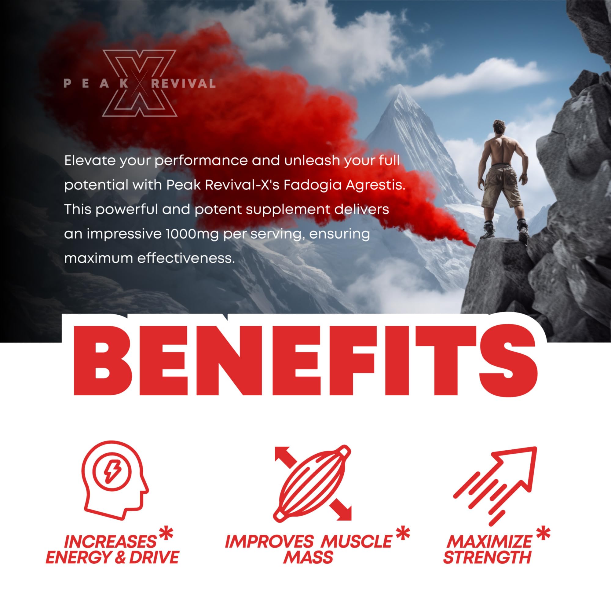 Fadogia Agrestis 1000mg Per Serving Supplement - Potent Extract to Increase Energy, Athletic Performance & Muscle Mass - Supplements, Made in The USA (60 Capsules)