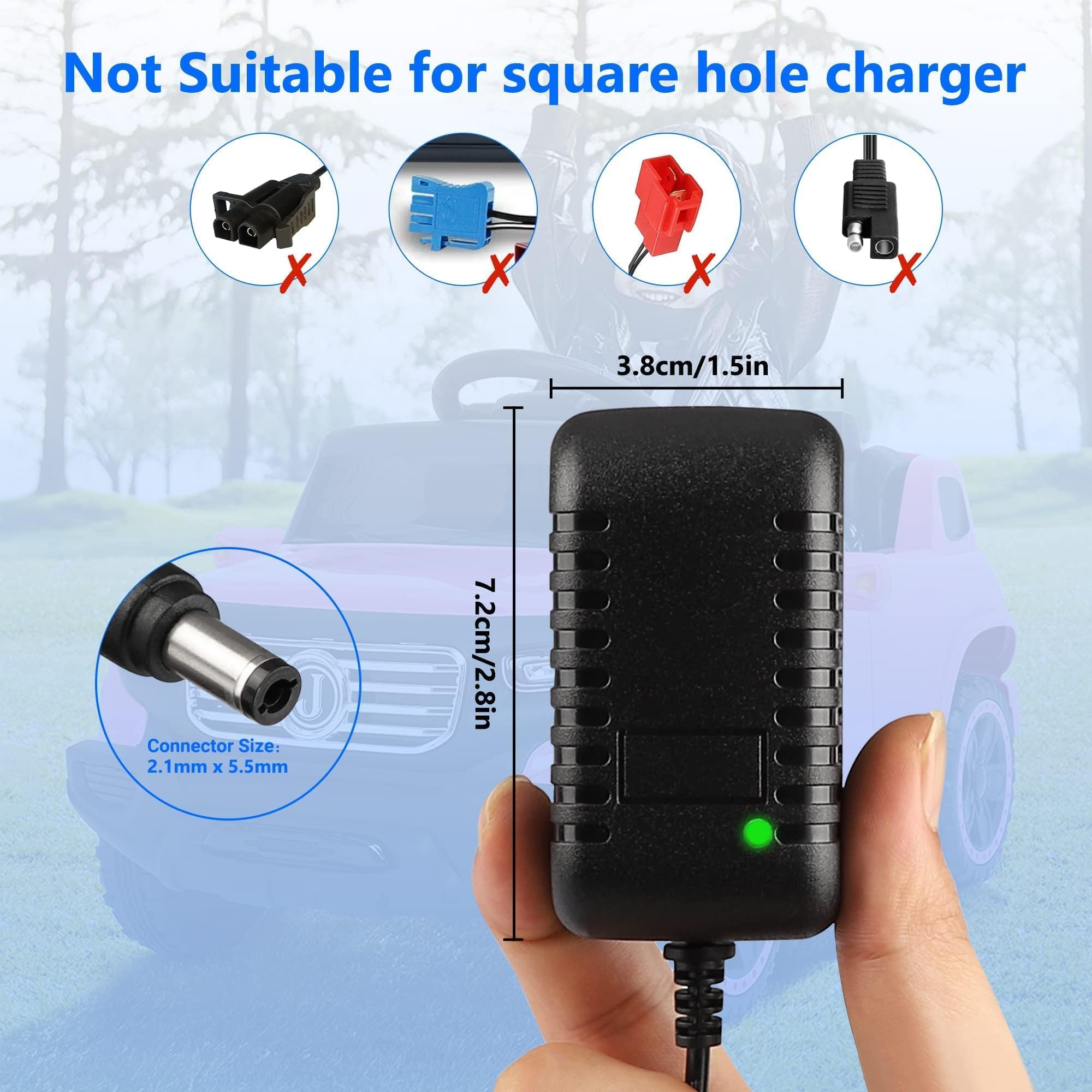 6v electric ride on horse charger