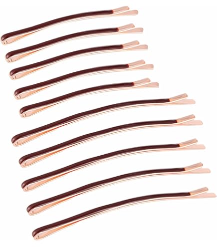 Amazon.com : France Luxe Bobby Pin Pair on Gold Wire 