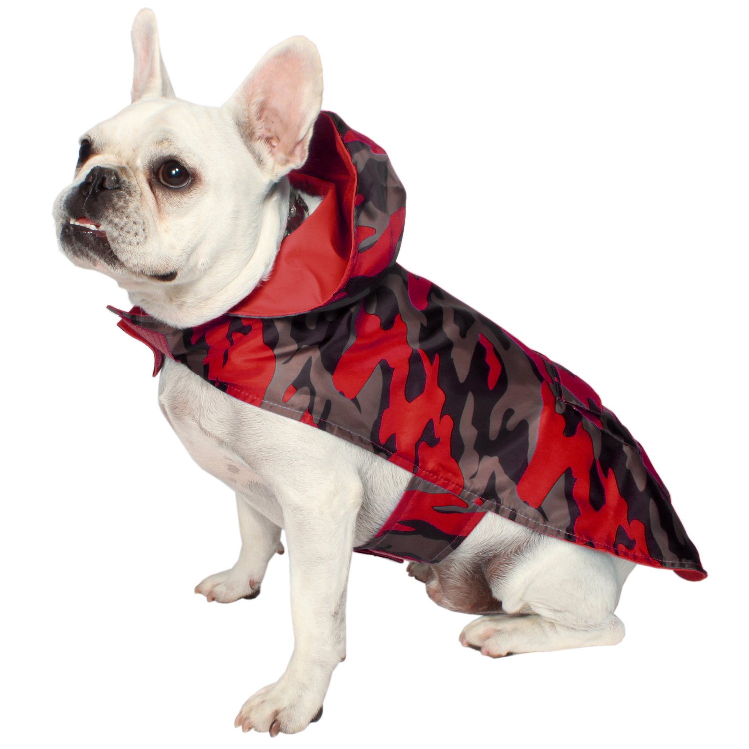 dog raincoat and wellies