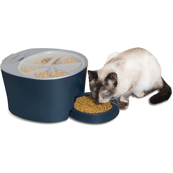c500 cat feeder