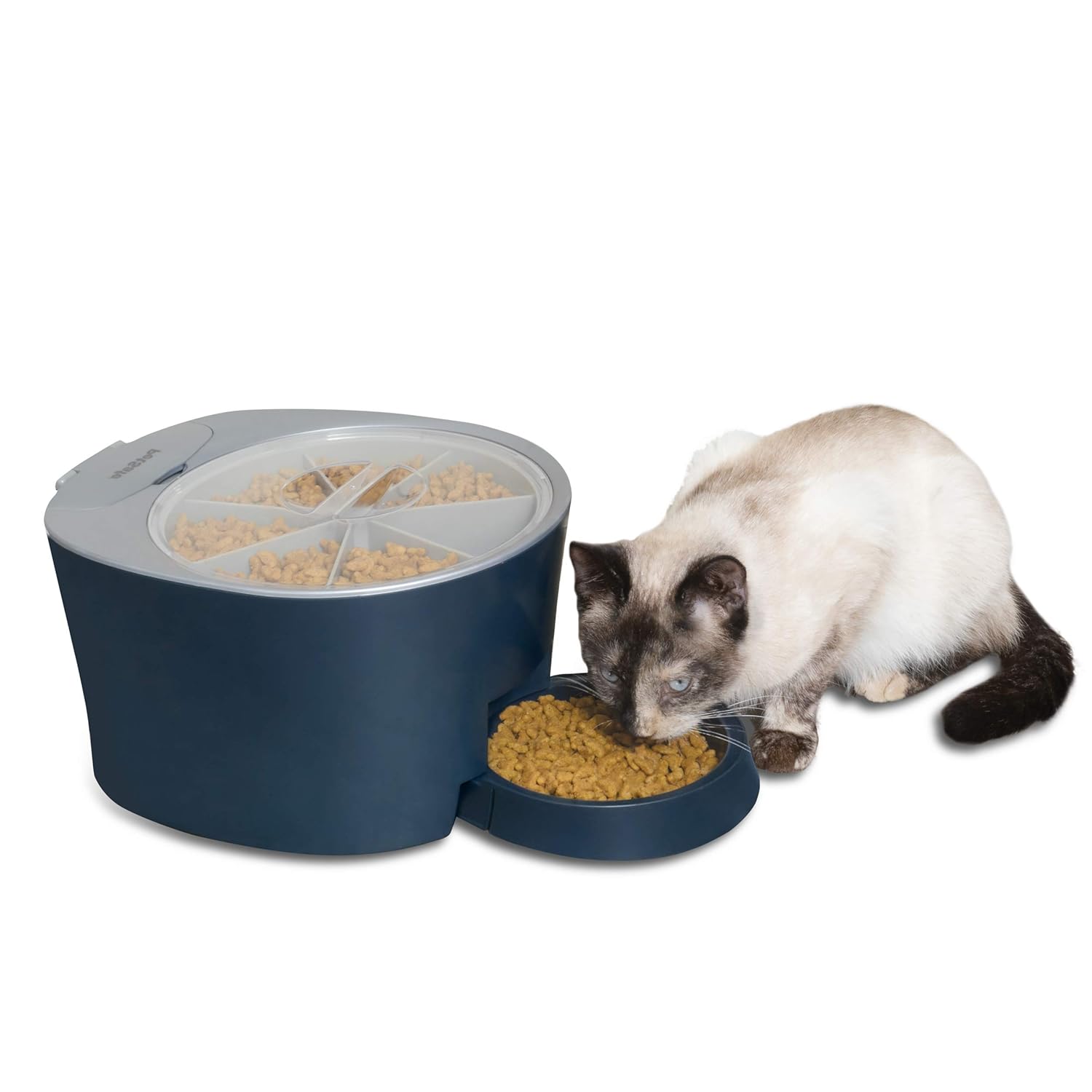 power cat feeder