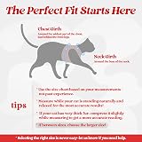 rabbitgoo Cat Harness and Leash Set, Extra Small, Reflective, Red, S view 2