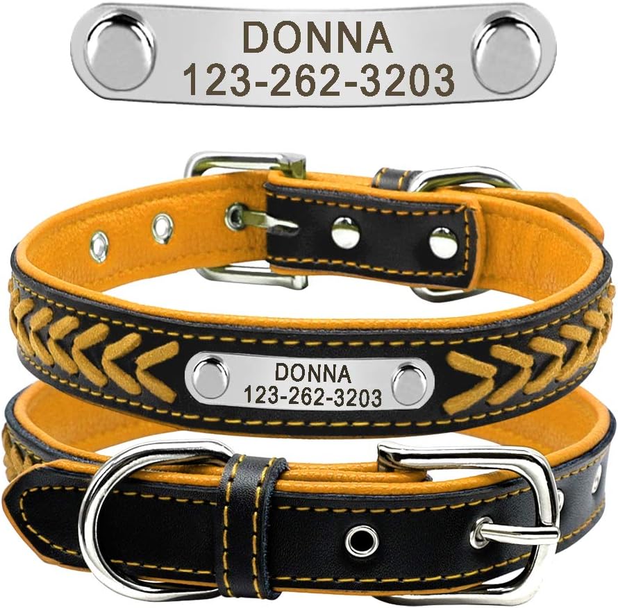 Didog Leather Custom Collar, Braided Leather Engraved Dog