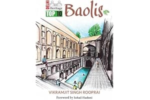 Delhi Heritage Top 10 Baolis
