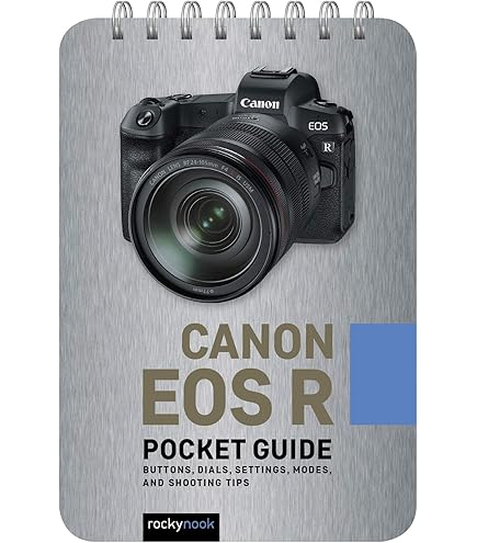 Amazon.com : Canon EOS R Series 500mm f/8 Manual Telephoto Lens