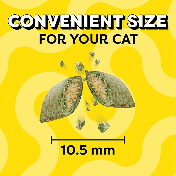 TEMPTATIONS CLASSIC CRUNCHY AND SOFT CAT TREATS BLISSFUL CATNIP FLAVOR, 16 OZ. TUB