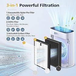 HAP603 Replacement Filter Compatible With ECOSELF